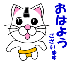 A white cat which plays sumo sticker #14844622