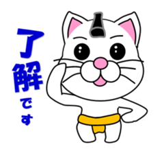 A white cat which plays sumo sticker #14844626