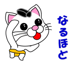 A white cat which plays sumo sticker #14844627