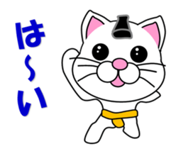 A white cat which plays sumo sticker #14844629