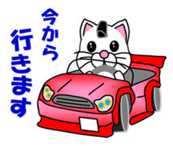 A white cat which plays sumo sticker #14844631