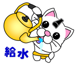 A white cat which plays sumo sticker #14844646