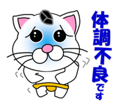 A white cat which plays sumo sticker #14844656