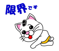 A white cat which plays sumo sticker #14844657