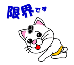 A white cat which plays sumo sticker #14844657