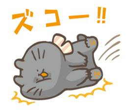 hoyohoyo cat3 sticker #14845300
