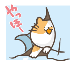 hoyohoyo cat3 sticker #14845303