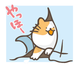 hoyohoyo cat3 sticker #14845303