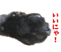 NANA Sticker Vol.2 sticker #14847222