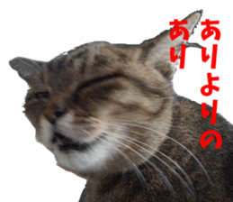 NANA Sticker Vol.2 sticker #14847223