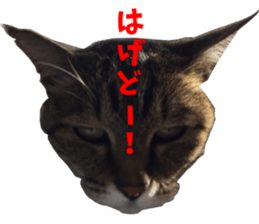 NANA Sticker Vol.2 sticker #14847238