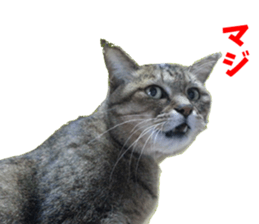 NANA Sticker Vol.2 sticker #14847240