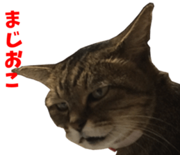 NANA Sticker Vol.2 sticker #14847241