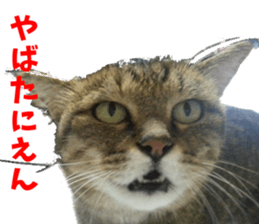 NANA Sticker Vol.2 sticker #14847244