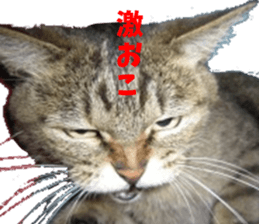 NANA Sticker Vol.2 sticker #14847249