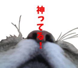 NANA Sticker Vol.2 sticker #14847250