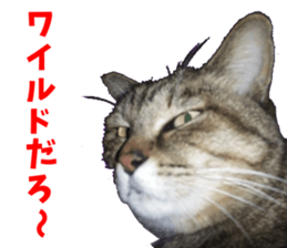 NANA Sticker Vol.2 sticker #14847256