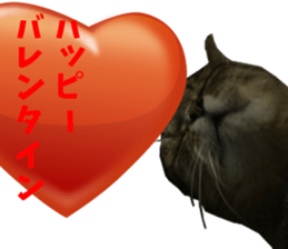 NANA Sticker Vol.2 sticker #14847259