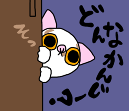 Bosatsu cat sticker #14848818