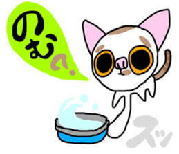 Bosatsu cat sticker #14848823