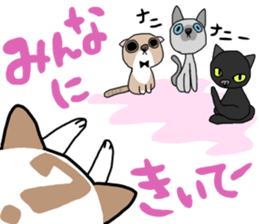 Bosatsu cat sticker #14848849