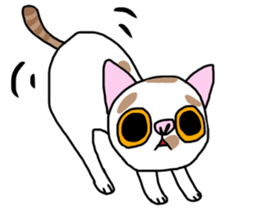 Bosatsu cat sticker #14848850