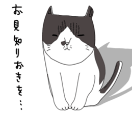 Miso-tan of cat sticker #14849310