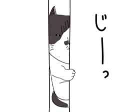 Miso-tan of cat sticker #14849311