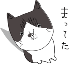 Miso-tan of cat sticker #14849312