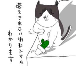 Miso-tan of cat sticker #14849313