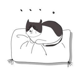 Miso-tan of cat sticker #14849315