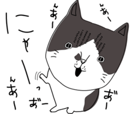 Miso-tan of cat sticker #14849317