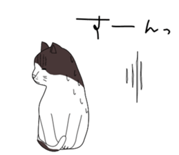 Miso-tan of cat sticker #14849319