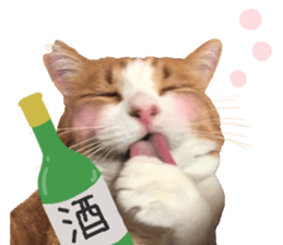 I am a cat.Thank you.12! sticker #14850775