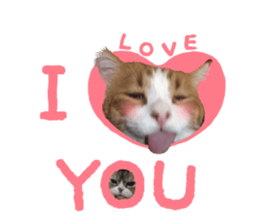 I am a cat.Thank you.12! sticker #14850779