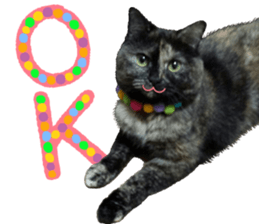 I am a cat.Thank you.12! sticker #14850783