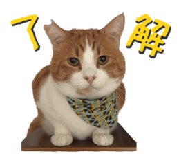 I am a cat.Thank you.12! sticker #14850785