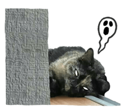 I am a cat.Thank you.12! sticker #14850786