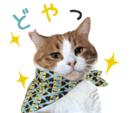 I am a cat.Thank you.12! sticker #14850790