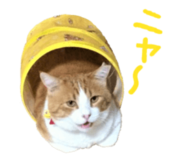 I am a cat.Thank you.12! sticker #14850791