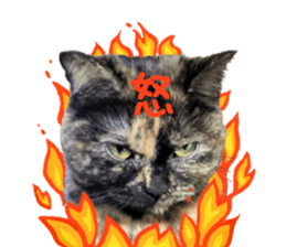 I am a cat.Thank you.12! sticker #14850792