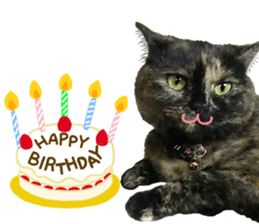 I am a cat.Thank you.12! sticker #14850806