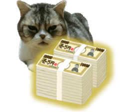 I am a cat.Thank you.12! sticker #14850807