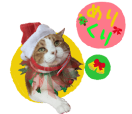 I am a cat.Thank you.12! sticker #14850811