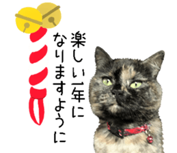 I am a cat.Thank you.12! sticker #14850813