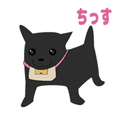 Cute puppy Chihuahua sticker #14852324