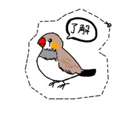 The birds I feel cutting off. sticker #14853674