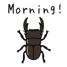 J Insects sticker #14853679