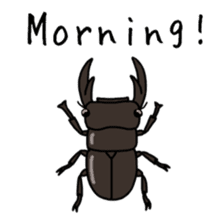 J Insects sticker #14853679