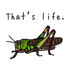 J Insects sticker #14853688